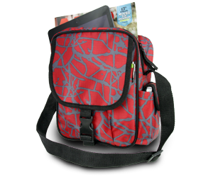 Red and Gray Spider Splash Day Bag